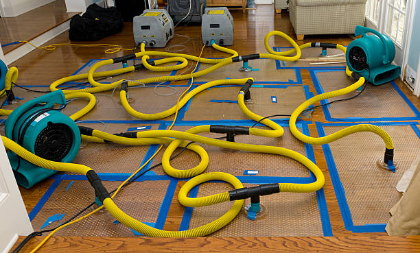 Professional Water Damage Repair technician working in Arlington, TX